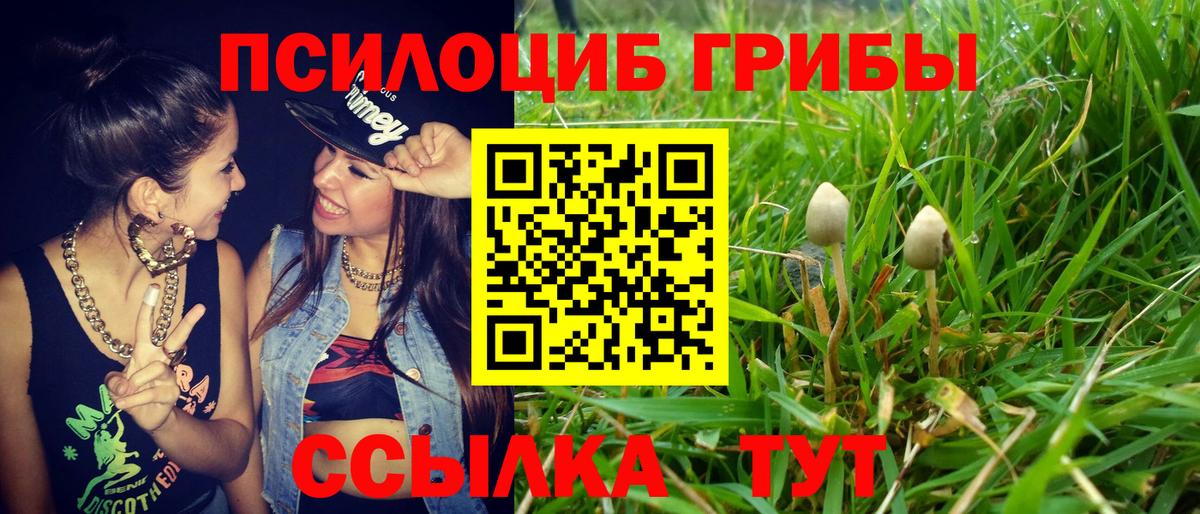 Галлюциногенные грибы мицелий Протвино